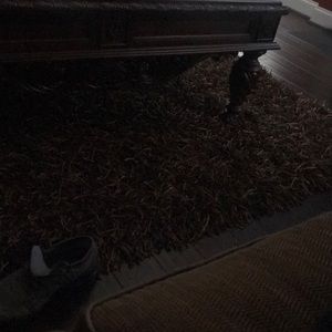 Meet your Posher, Sean